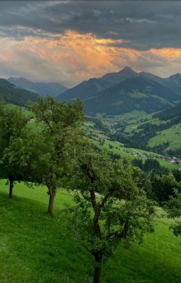 Apartament Haus Raimund " Klein Aber Fein " Alpbach Zewnętrze zdjęcie