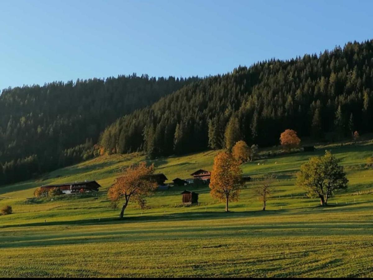 Apartament Haus Raimund " Klein Aber Fein " Alpbach Zewnętrze zdjęcie