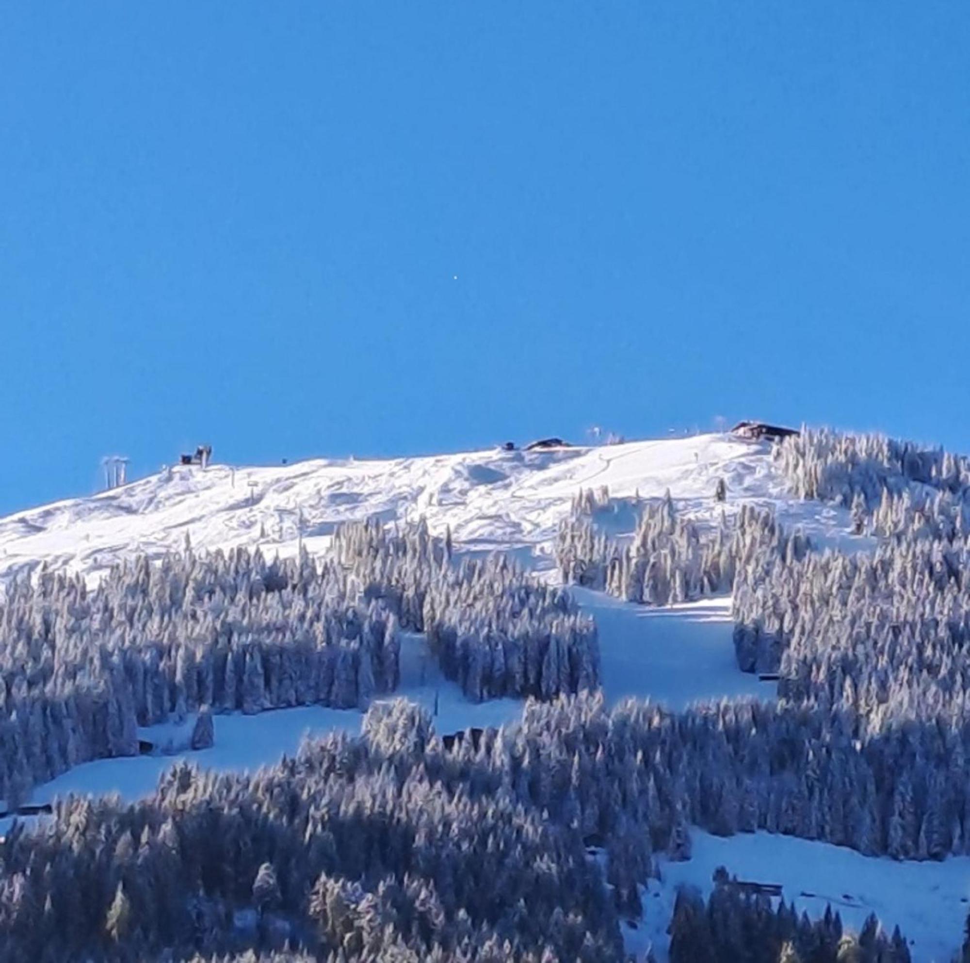 Apartament Haus Raimund " Klein Aber Fein " Alpbach Zewnętrze zdjęcie