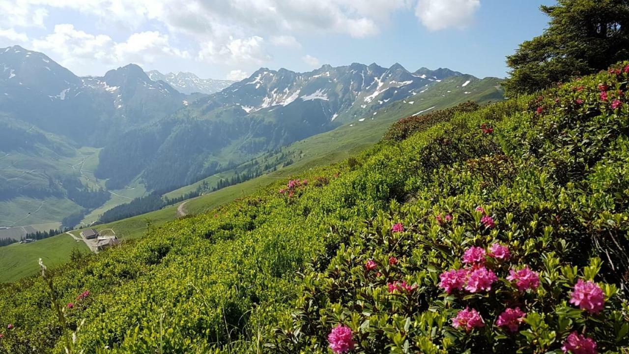 Apartament Haus Raimund " Klein Aber Fein " Alpbach Zewnętrze zdjęcie