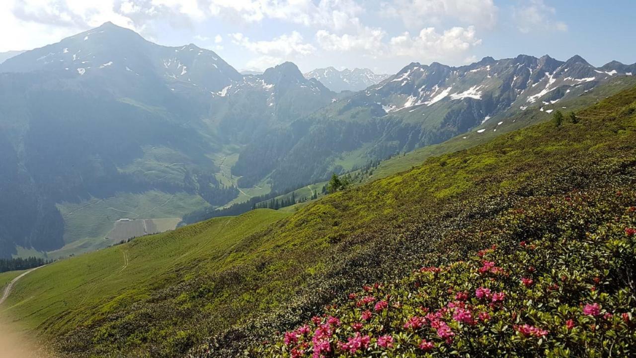 Apartament Haus Raimund " Klein Aber Fein " Alpbach Zewnętrze zdjęcie
